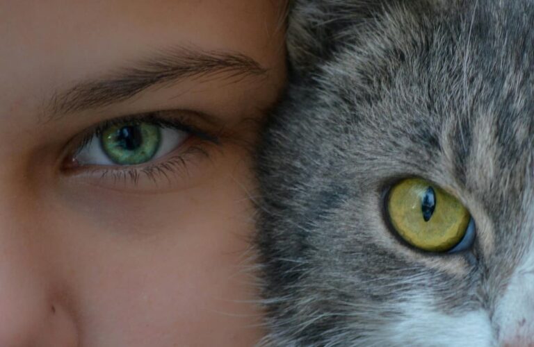 [Bit#41] The Mystery of the Eye: Human Megapixels and Animal Vision