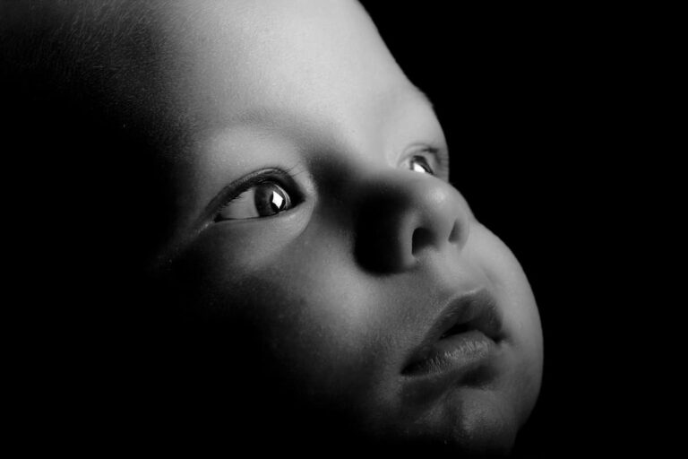 [Bit#19] The Science of Infantile Amnesia: The First Fragment in the Dark
