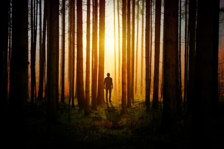 [Bit#62] Is Reincarnation Science or Illusion? Decoding the Secrets of the Human Brain