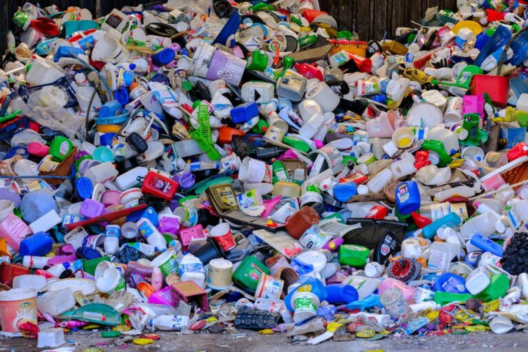 [Bit#68] Plastic Eating Microbes: Tiny Organisms Saving the Earth