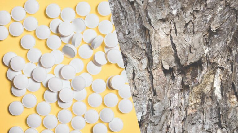 [Bit#109] Aspirin: How Science Turned Toxic Willow Bark into Medicine?