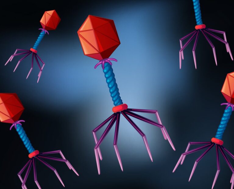 [Bit#102] Bacteriophage: The Natural Predator Virus Therapy Attacking Only Bacteria