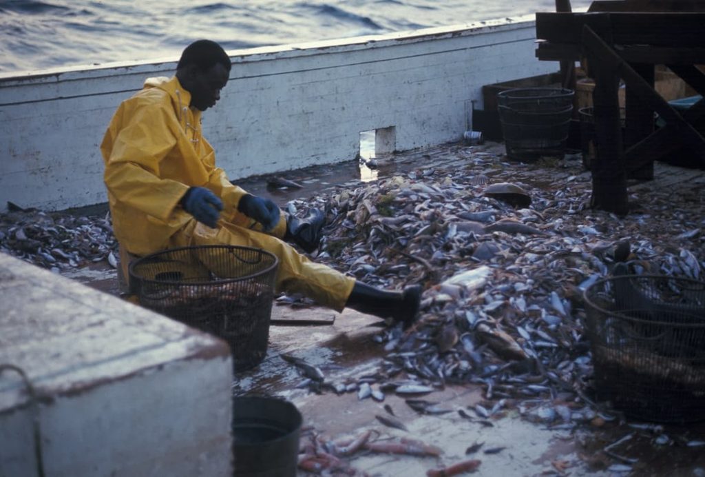 Commercial fishing activity that can place pressure on marine wildlife populations