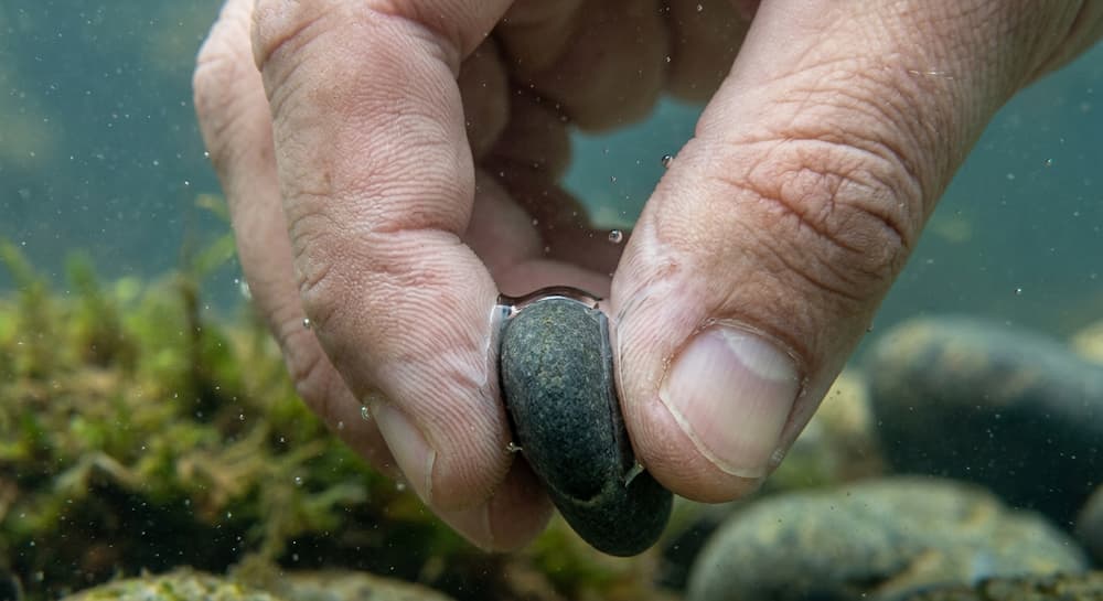 Wrinkled fingertips gripping a wet object underwater
